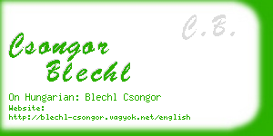 csongor blechl business card